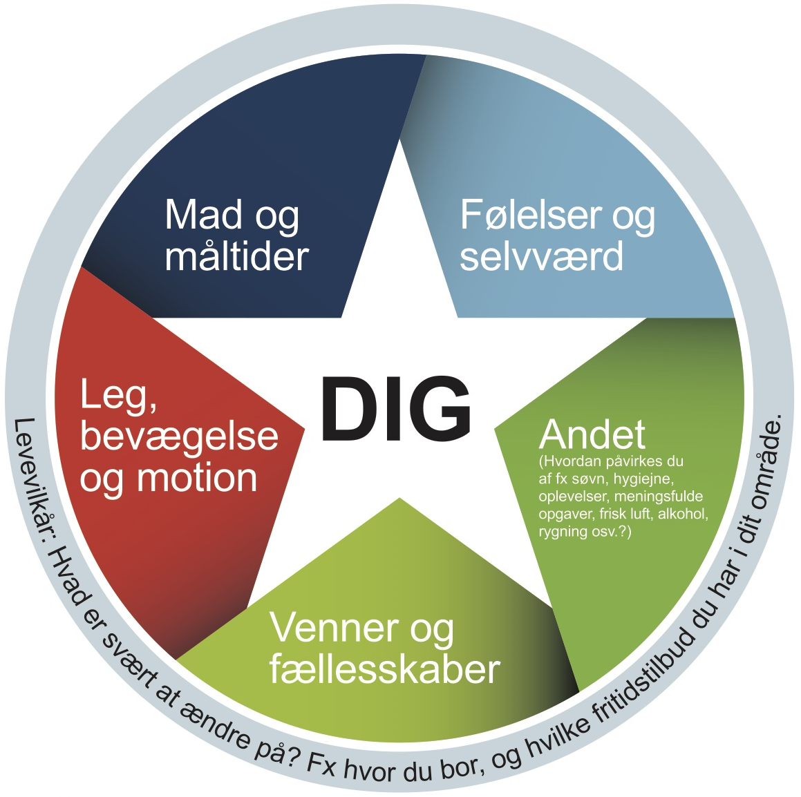 Sundhedsstjernen En Didaktisk Model Til Sundhedsundervisningen Sundheds Og 